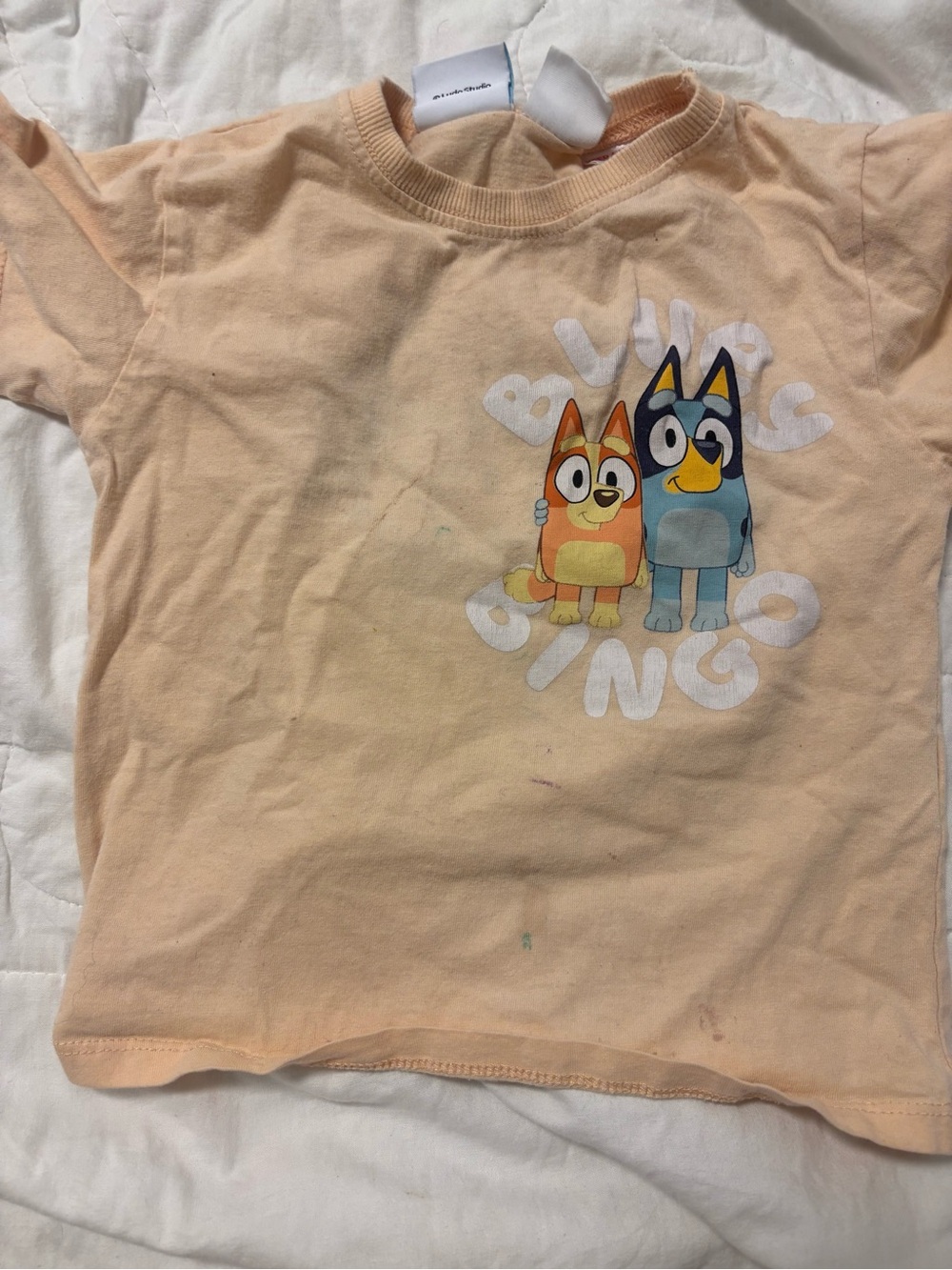 Shirt toddler bluey Zara PLAY